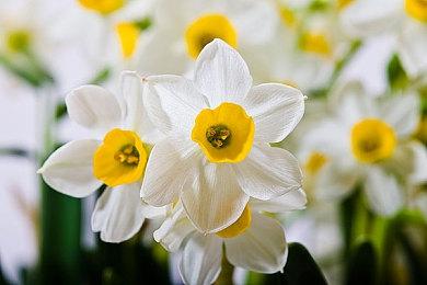 《真三国无双起源》PC版超宽屏预告 PC配置公布